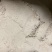 0.81.01.2.1.51.8统糠鸡鸭鹅饲料