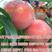 水蜜桃苗嫁接新品种桃树苗南北方种植蟠桃油桃品种桃苗