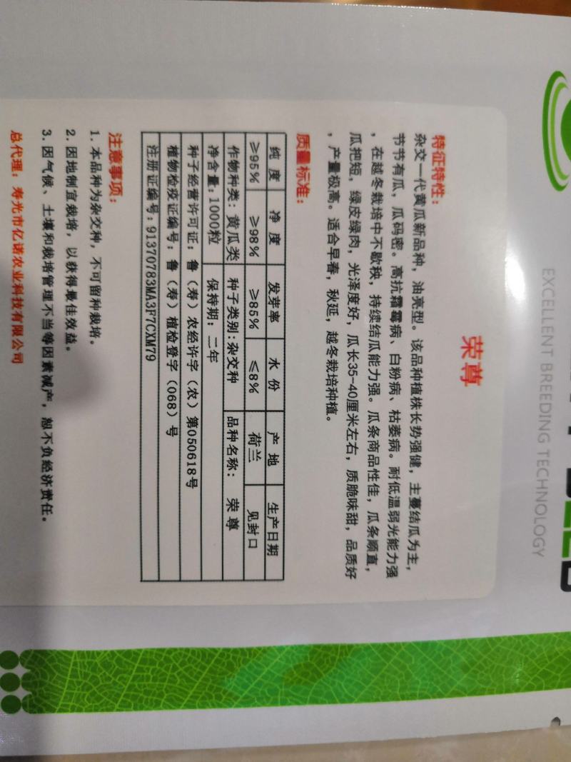 荣尊全雌黄瓜品种种子节节有瓜油亮黄瓜种子青瓜