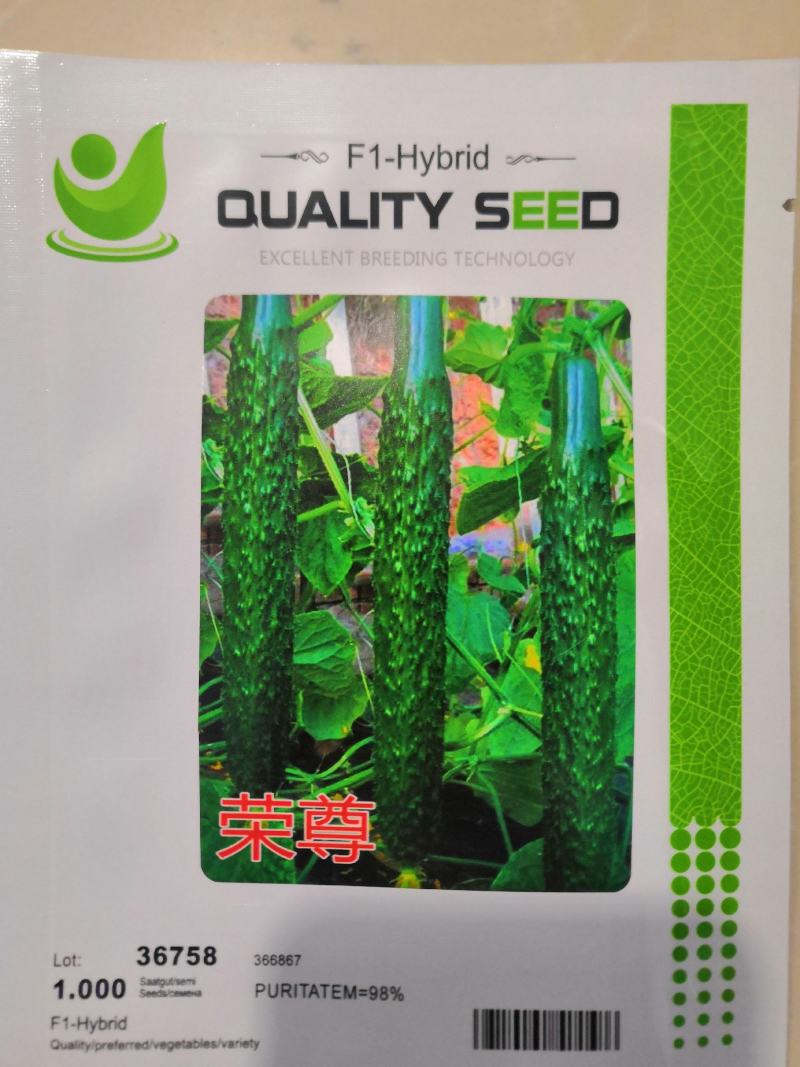 荣尊全雌黄瓜品种种子节节有瓜油亮黄瓜种子青瓜