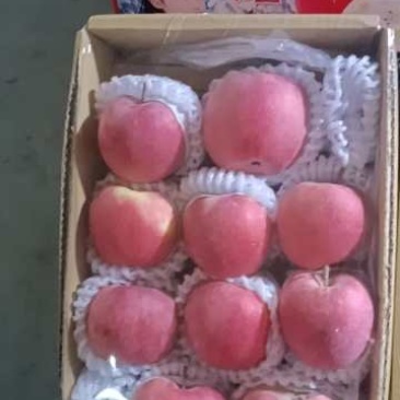 【牛商推荐】新疆阿克苏苹果产地直发精品