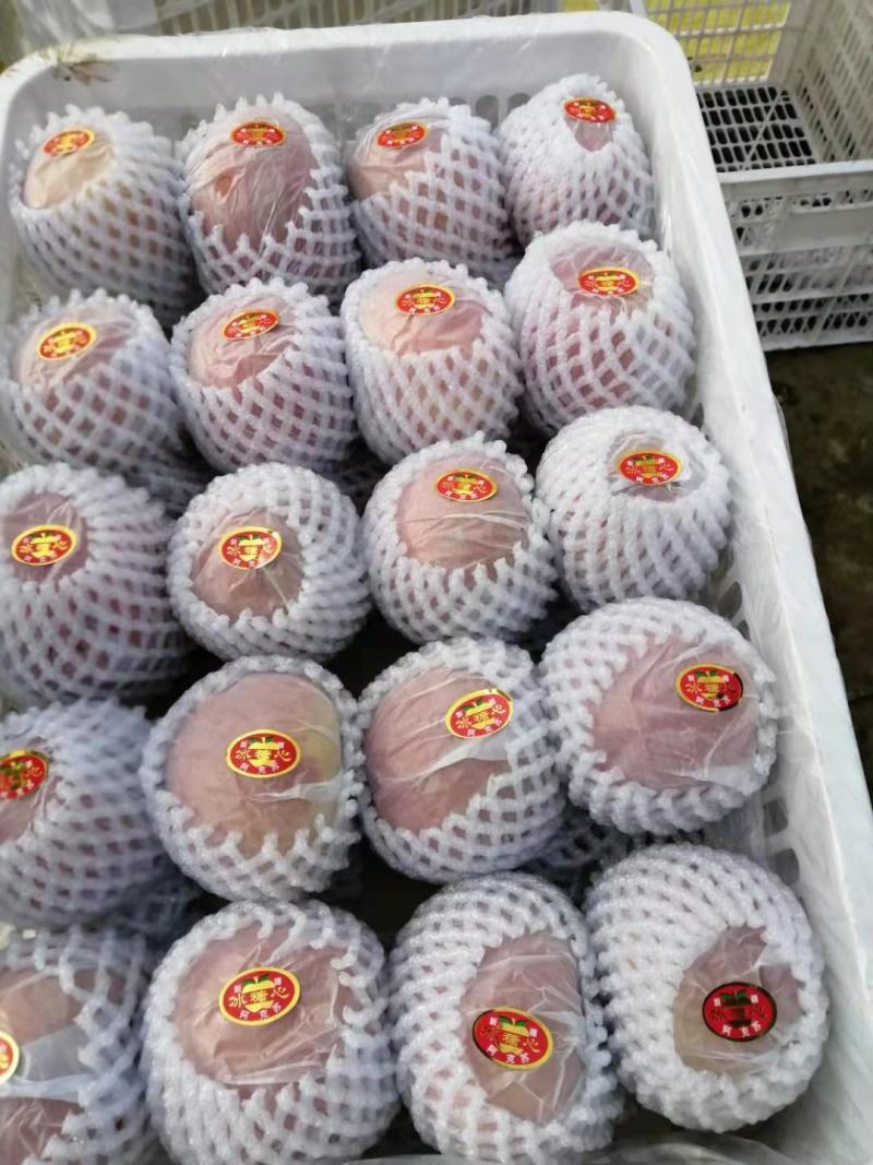 【牛商推荐】新疆阿克苏苹果产地直发精品