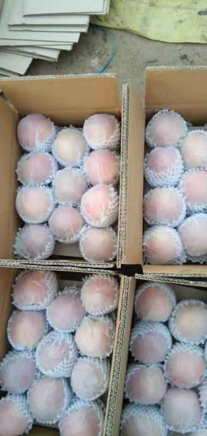 【牛商推荐】新疆阿克苏苹果产地直发精品