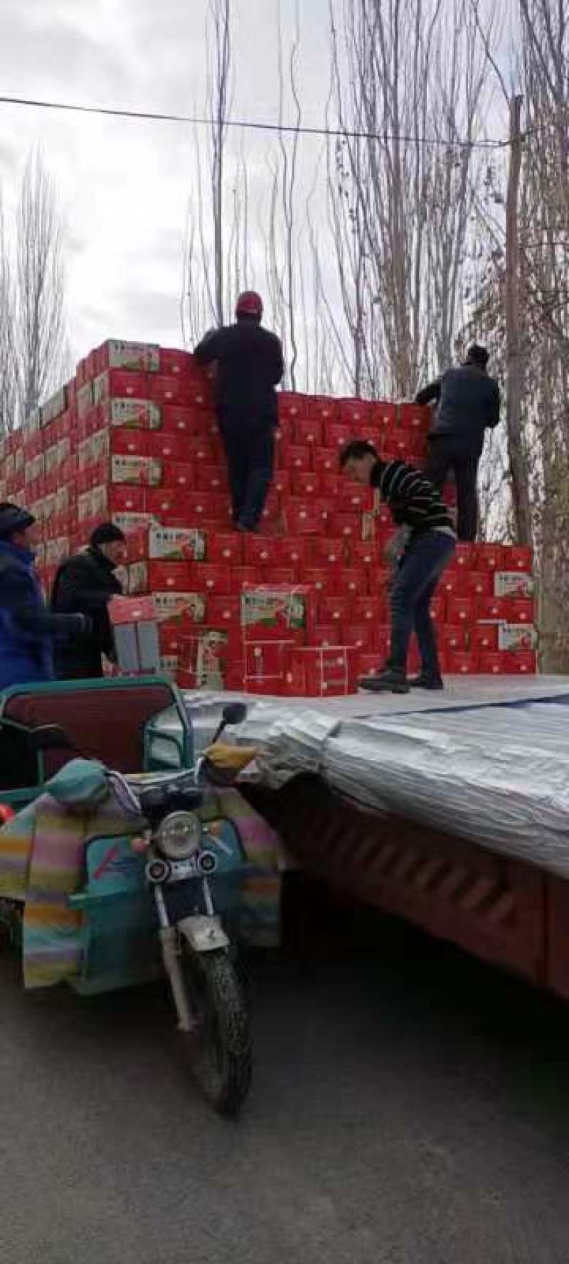 【牛商推荐】新疆阿克苏苹果产地直发精品
