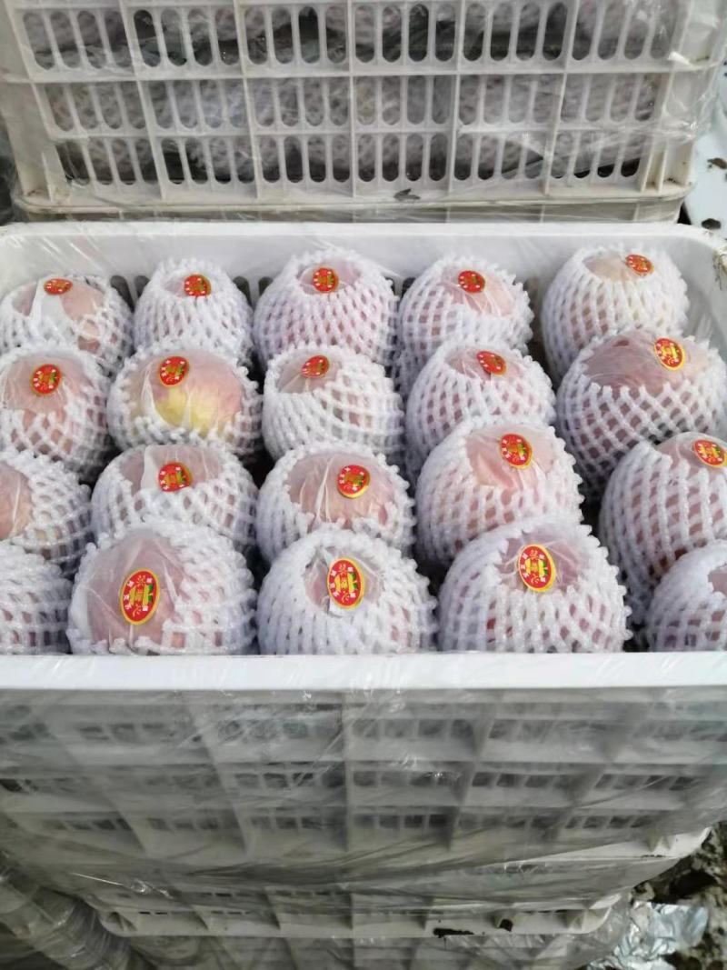 【牛商推荐】新疆阿克苏苹果产地直发精品