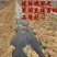 新品种早熟蟠桃苗《速生生长速度快》成活率高桃树苗