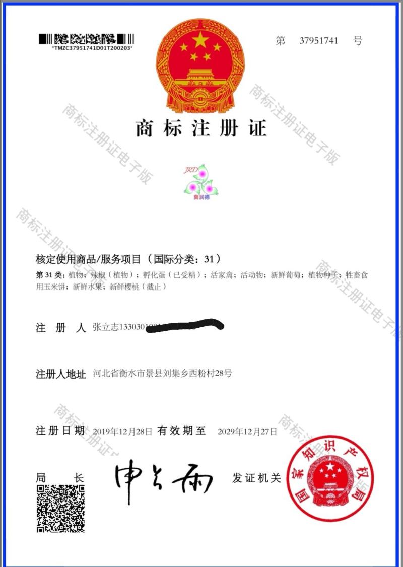 冀润德®农产品土鸡蛋批发纯粮饲养