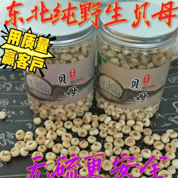 东北纯野生无硫平贝母[自然晾晒]无硫更健康欢迎选购