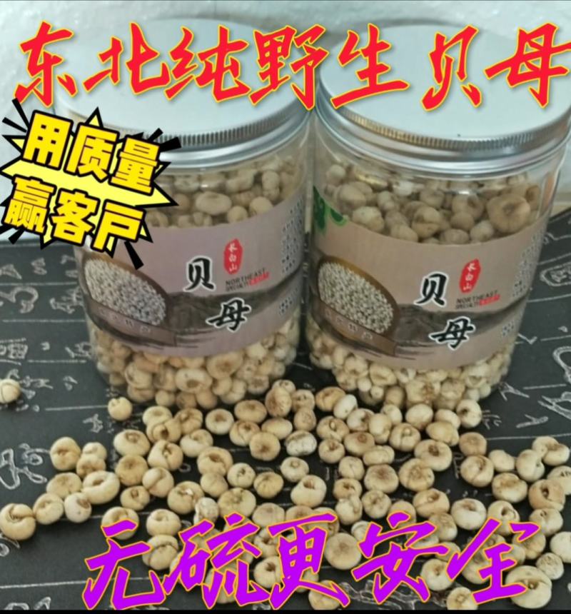 东北纯野生无硫平贝母[自然晾晒]无硫更健康欢迎选购
