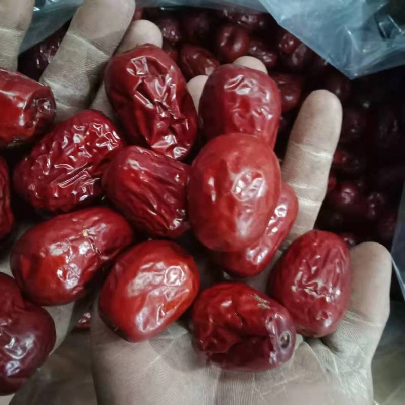 批发黄河摊枣批发红枣山西吕梁临县红枣