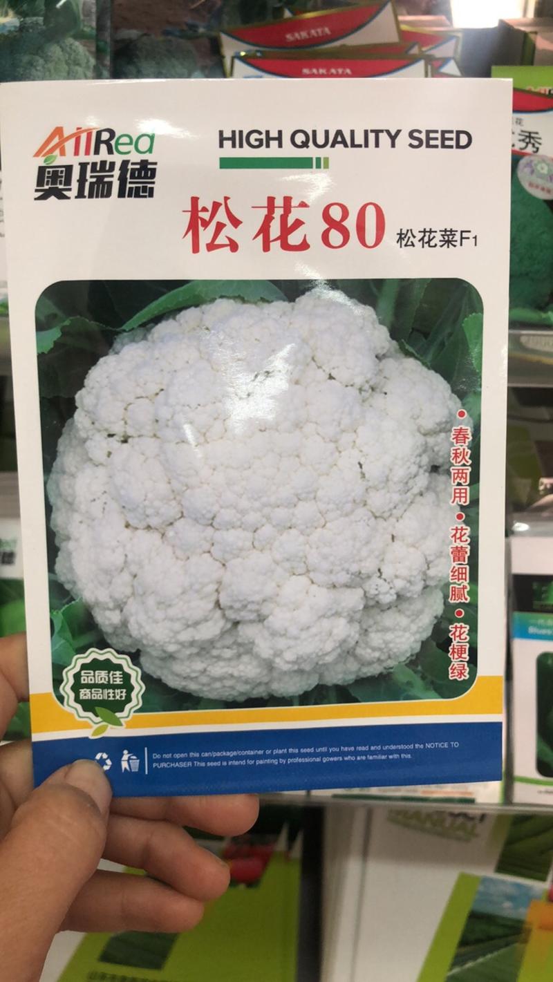 松花菜种子春种松花花菜种子花球白产量高芽率高