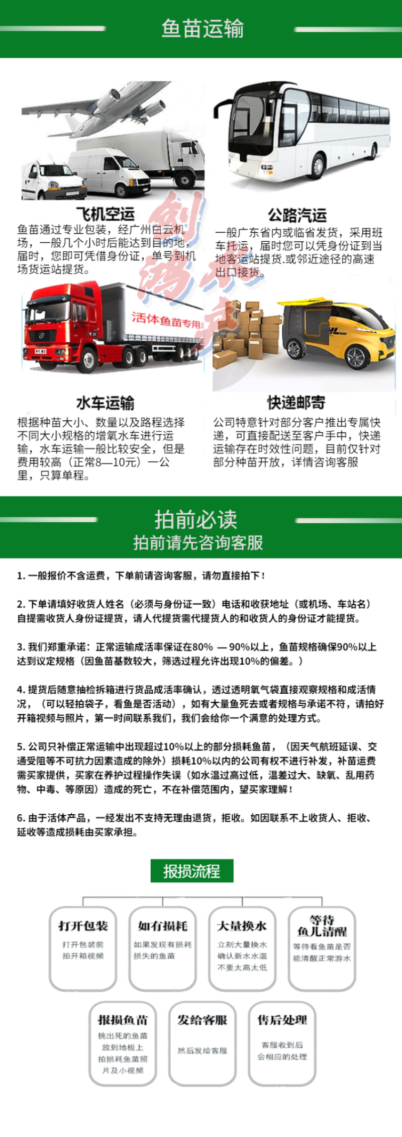 优质丁桂鱼鱼苗欧洲丁鱥鱼苗丁桂鱼苗水花食用观赏鱼