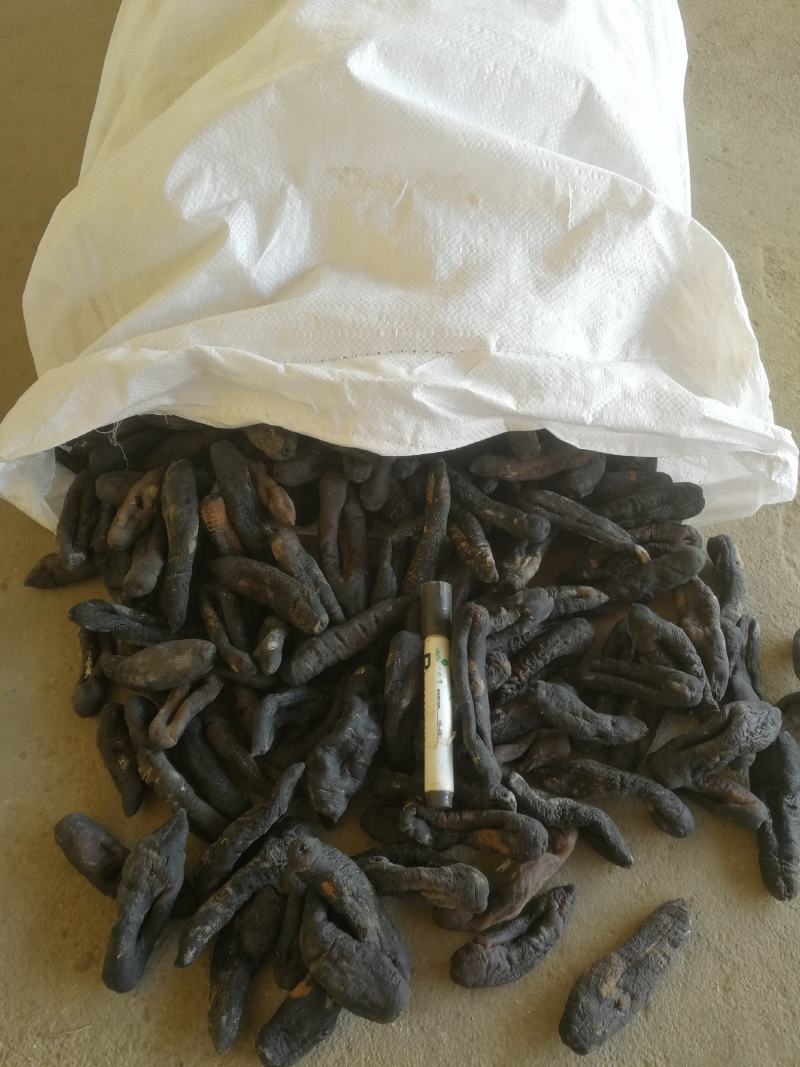 纯干茄参海番薯大乌参烤干货口感爽滑高涨发
