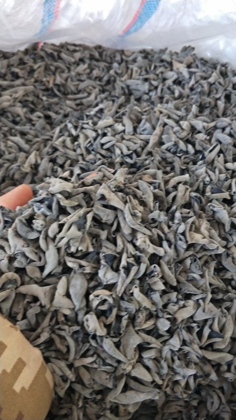 东北一级木耳[脆有弹性]产地批发一手货源欢迎选购