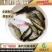 【热销推介】丁桂鱼鱼苗欧洲丁鱥鱼苗丁桂鱼水花效益高