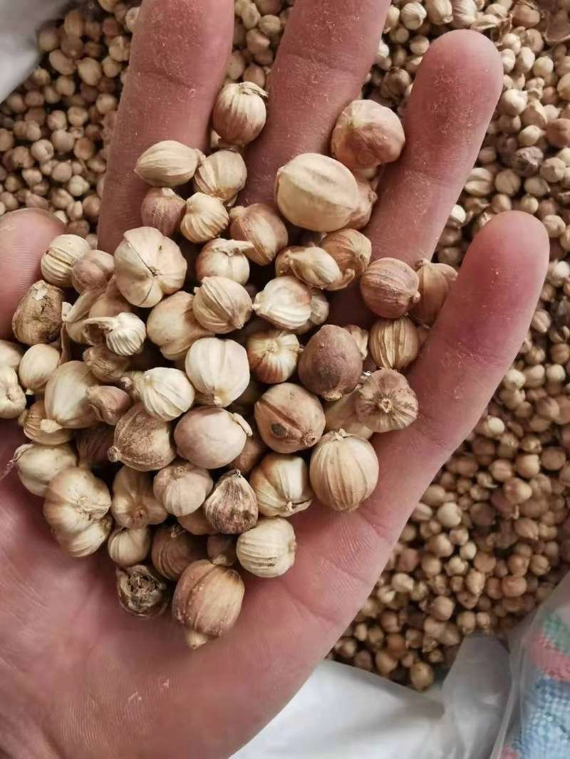 包邮3斤白扣白豆扣全干货颜色好质量保证货一首货源