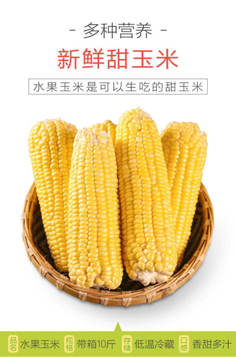 现摘水果甜玉米即食生吃棒新鲜水果类当季时令整箱10斤