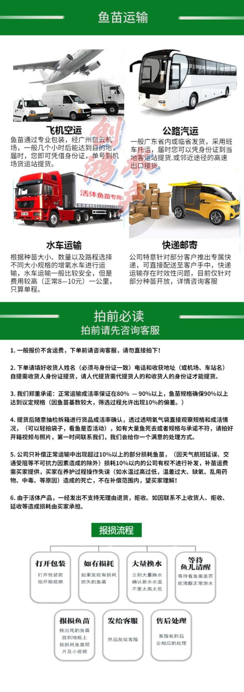 【高抗病力】优质黑鱼鱼苗生鱼苗乌鱼苗杂交黑鱼苗