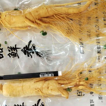 包邮鲜人参长白山人参八年生鲜参过年泡酒炖汤整支鲜人参参汤