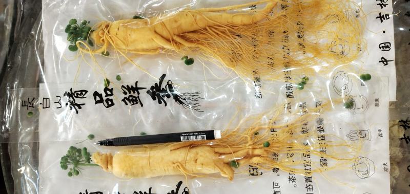 包邮鲜人参长白山人参八年生鲜参过年泡酒炖汤整支鲜人参参汤