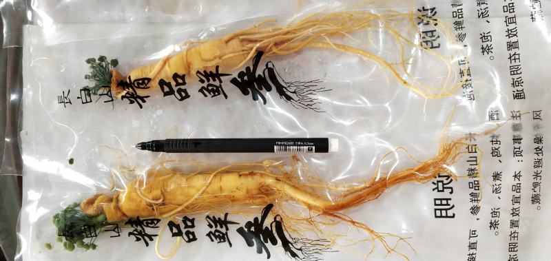 包邮鲜人参长白山人参八年生鲜参过年泡酒炖汤整支鲜人参参汤