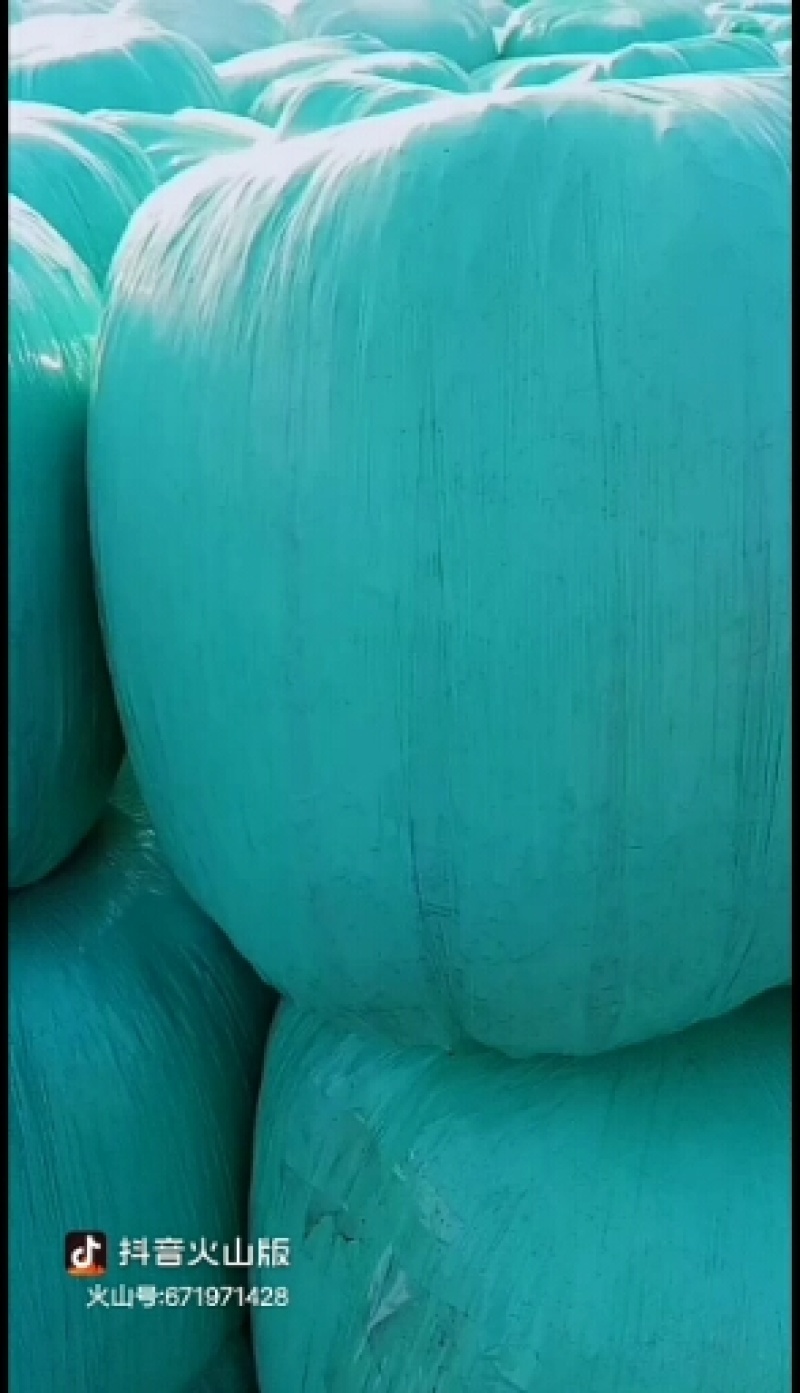批发牛羊青储玉米秸秆13616463229
