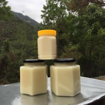 精品好货鸭脚木原生态蜂蜜，冬蜜欢迎咨询下单