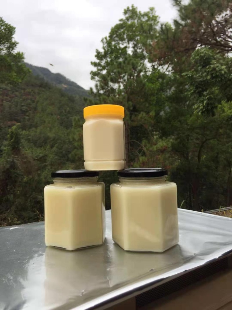 精品好货鸭脚木原生态蜂蜜，冬蜜欢迎咨询下单