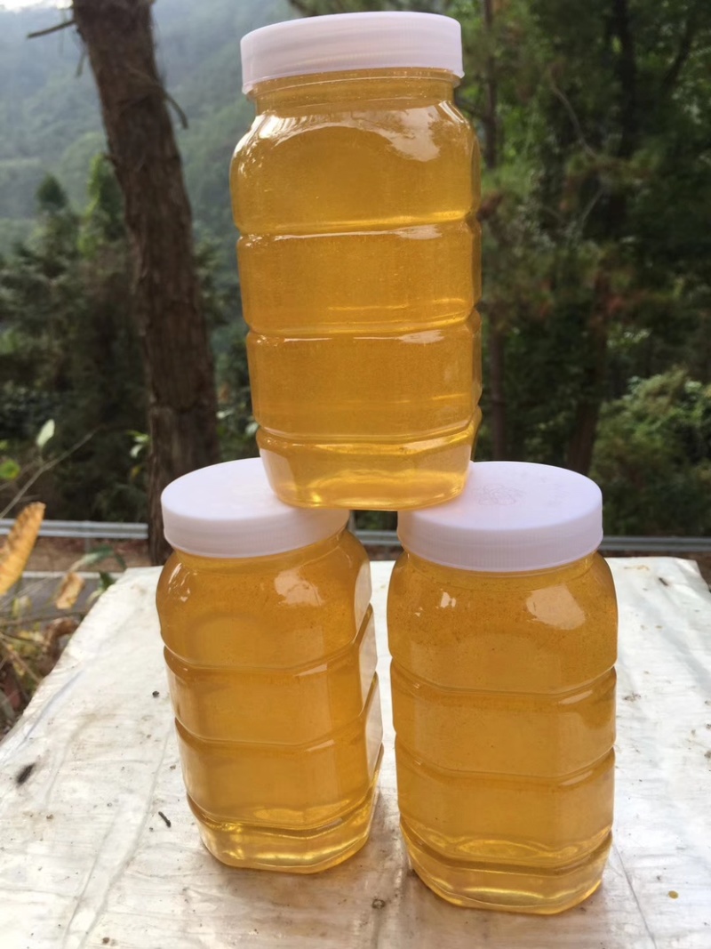 精品好货鸭脚木原生态蜂蜜，冬蜜欢迎咨询下单