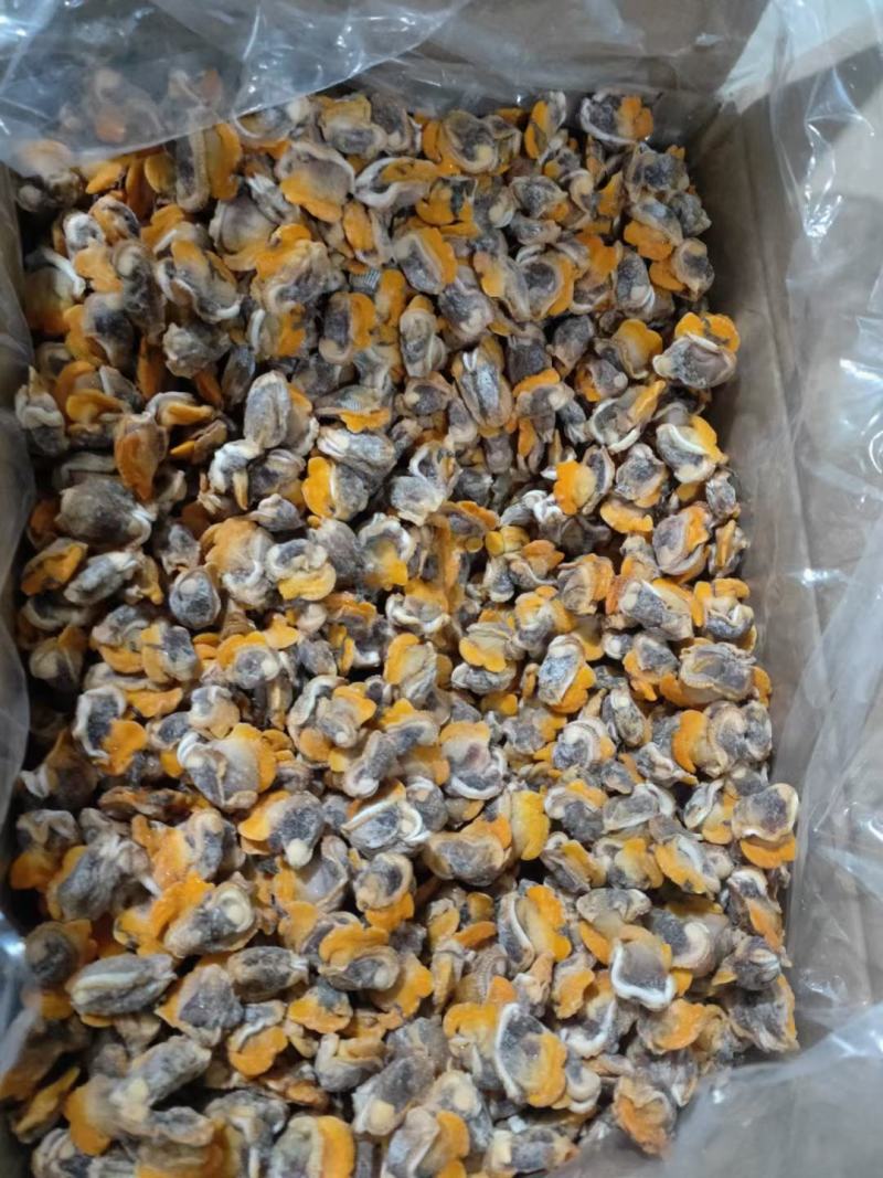 【产地直供】毛蛤蜊肉单冻毛蛤肉血哈肉江苏海鲜水产
