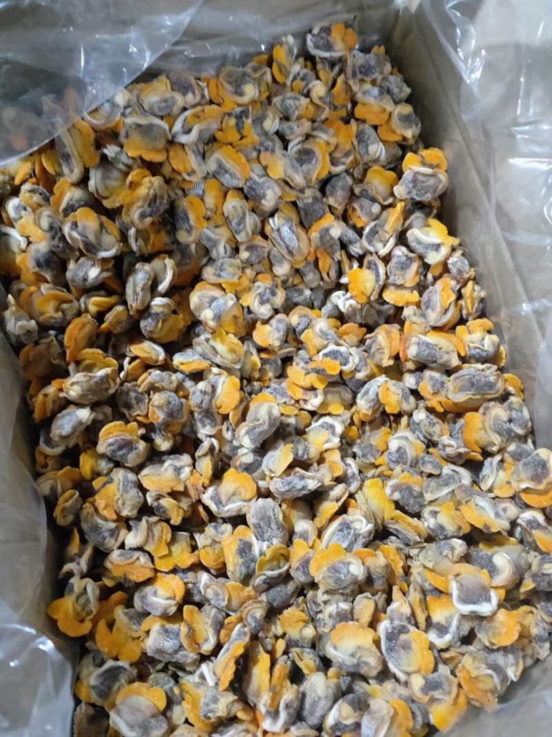 【产地直供】毛蛤蜊肉单冻毛蛤肉血哈肉江苏海鲜水产