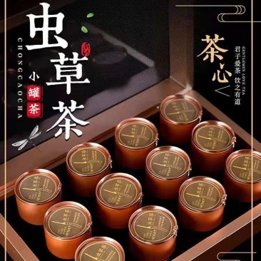食用菌干货冬虫夏草小罐茶