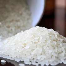 出售吉林松花江延岸稻作区种植的大米