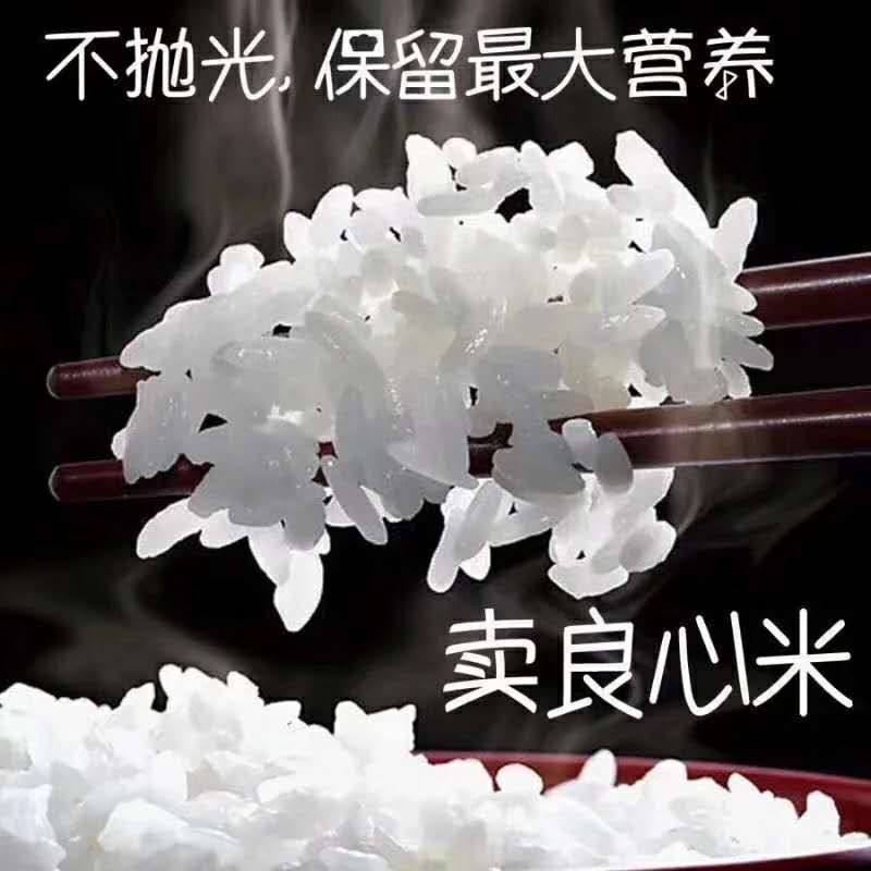 出售吉林松花江延岸稻作区种植的大米