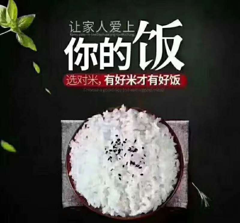 出售吉林松花江延岸稻作区种植的大米