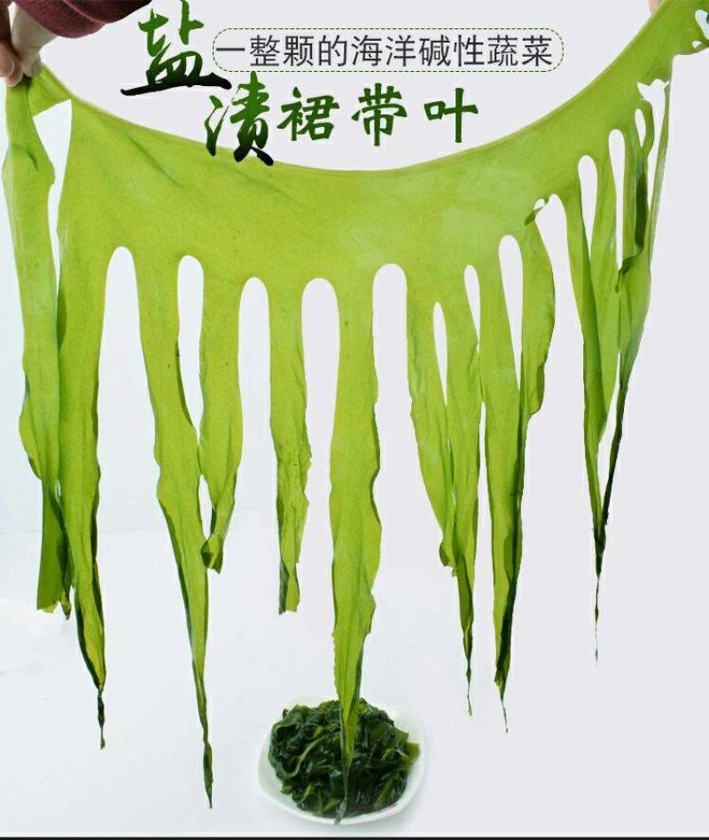 裙带菜叶火锅麻辣烫熬汤顺滑爽口海洋中珍品裙带菜叶包邮