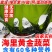 裙带菜叶火锅麻辣烫熬汤顺滑爽口海洋中珍品裙带菜叶包邮