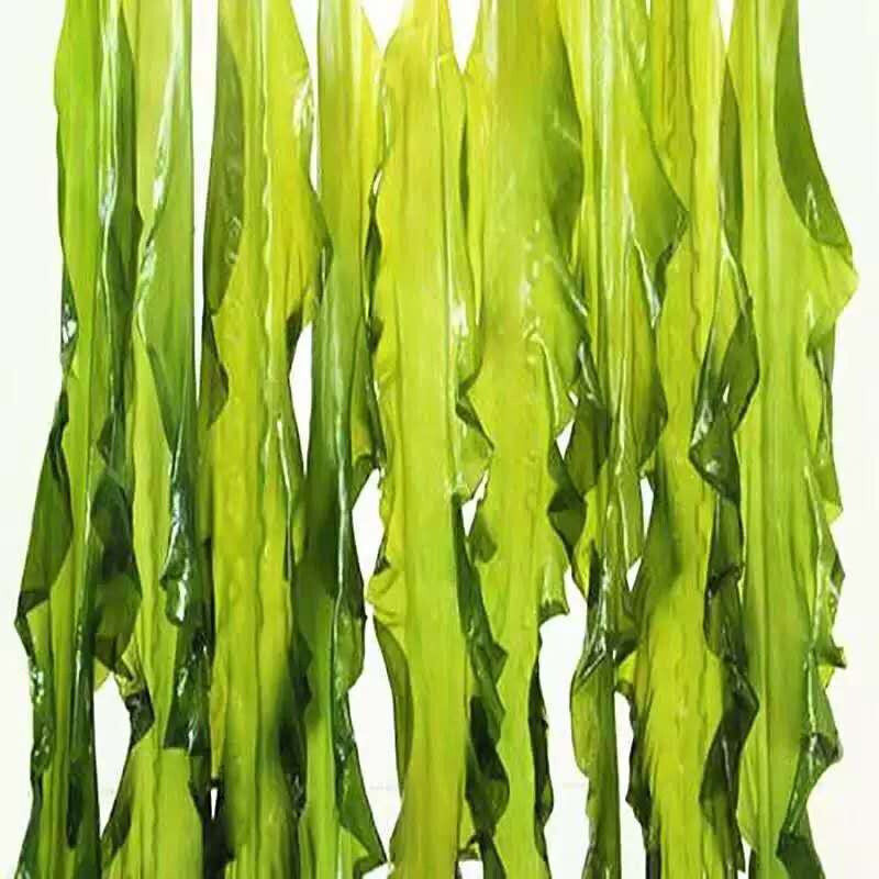 裙带菜叶火锅麻辣烫熬汤顺滑爽口海洋中珍品裙带菜叶包邮