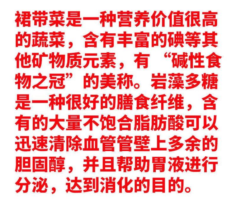 裙带菜叶火锅麻辣烫熬汤顺滑爽口海洋中珍品裙带菜叶包邮