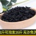 裙带菜叶火锅麻辣烫熬汤顺滑爽口海洋中珍品裙带菜叶包邮