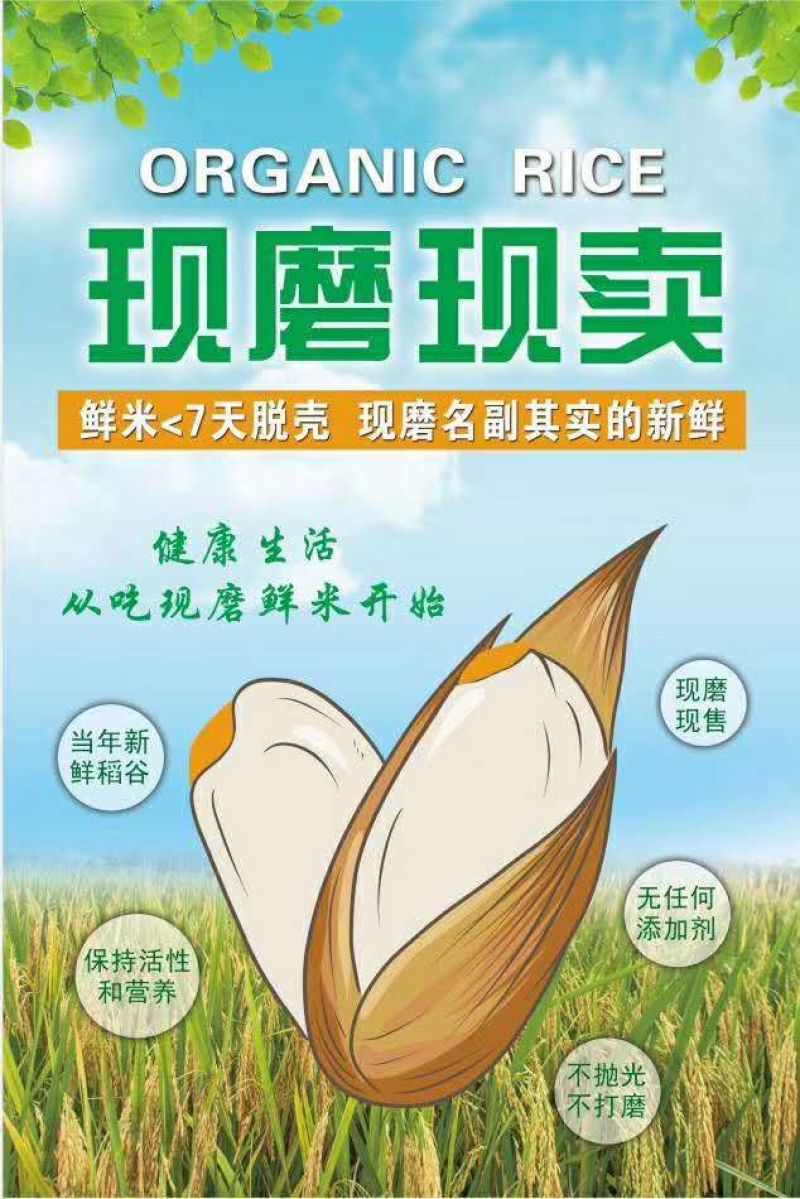 出售吉林松花江延岸稻作区种植的大米