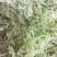 苔藓干鲜货干净够干大量批发冬眠佳品地绿化等