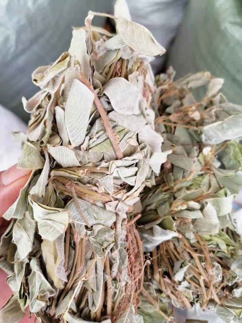 金钱草，广西金钱草，干货，扎把，切段都有货