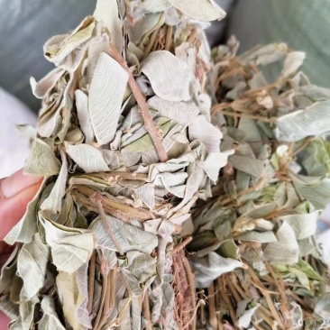 金钱草，广西金钱草，干货，扎把，切段都有货