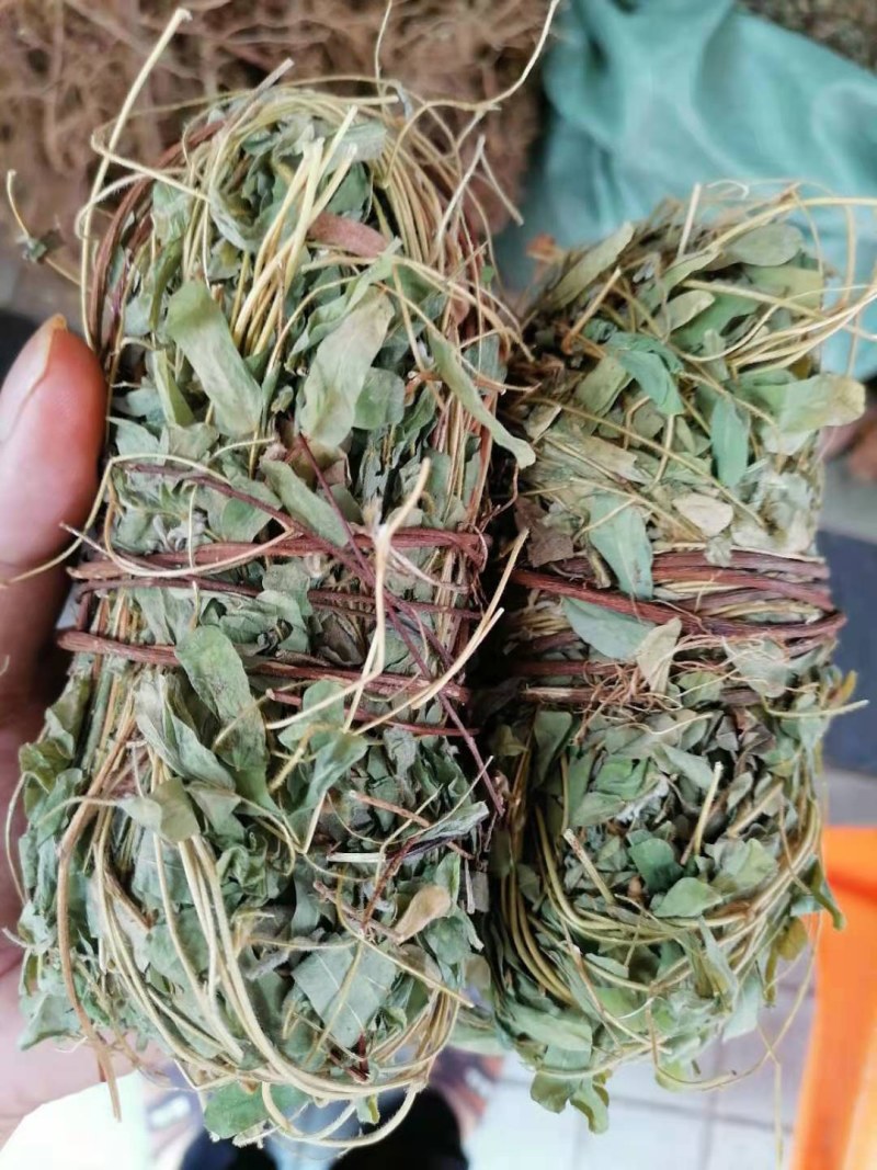 金钱草，广西金钱草，干货，扎把，切段都有货