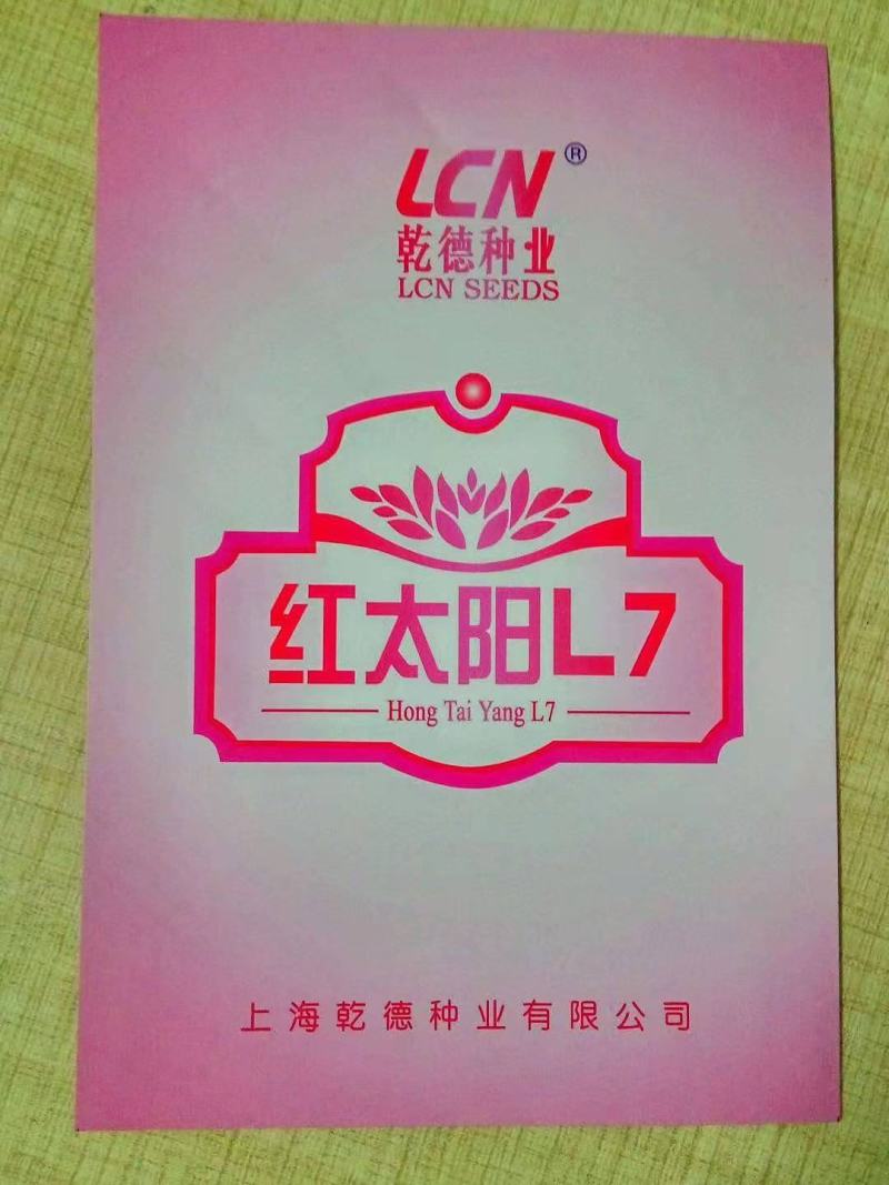 红太阳L7西红柿种子大红大果番茄，转色均匀，果型美观