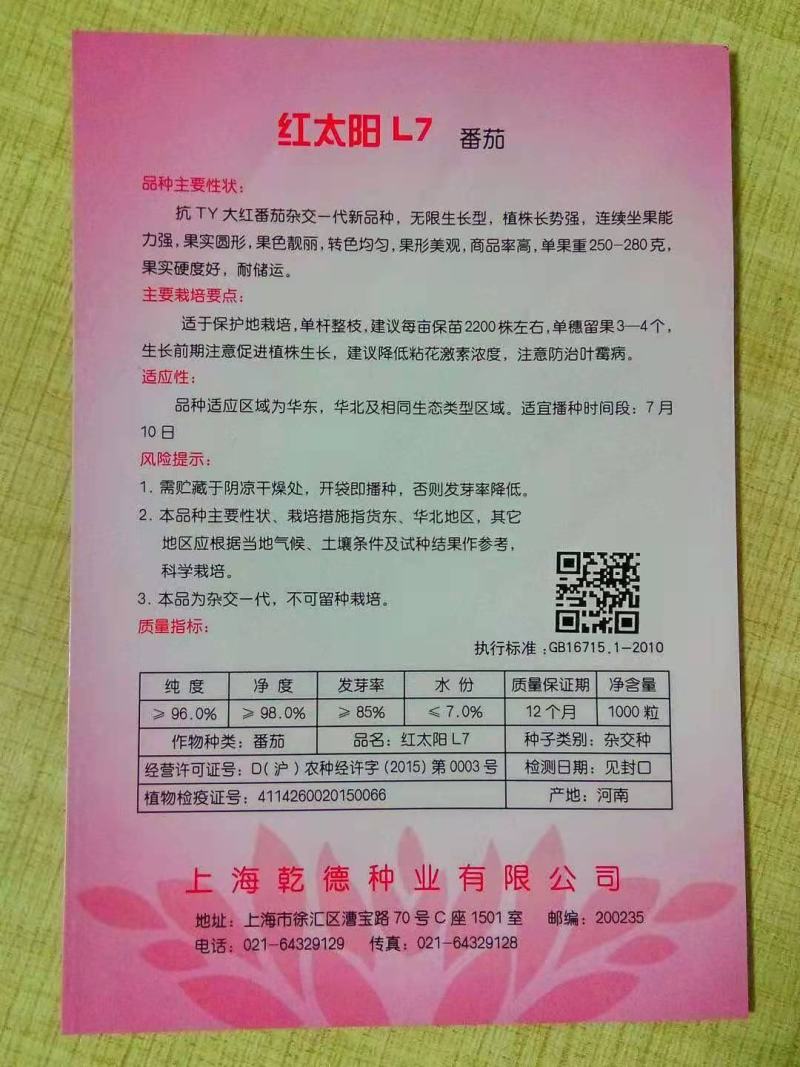 红太阳L7西红柿种子大红大果番茄，转色均匀，果型美观