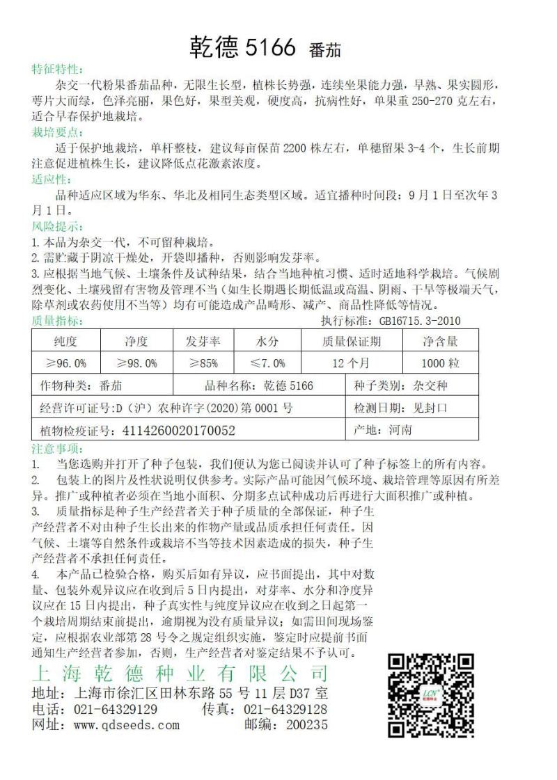 乾德5166越冬、早春精品粉果番茄