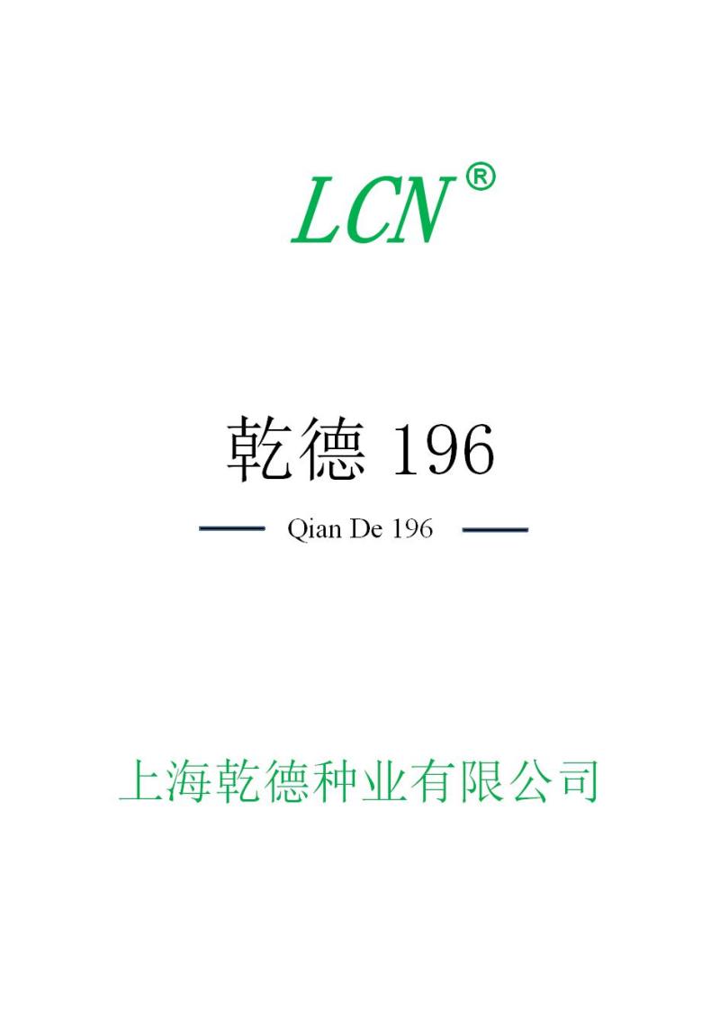 乾德196大红大果番茄，中早熟，硬度高，耐运输