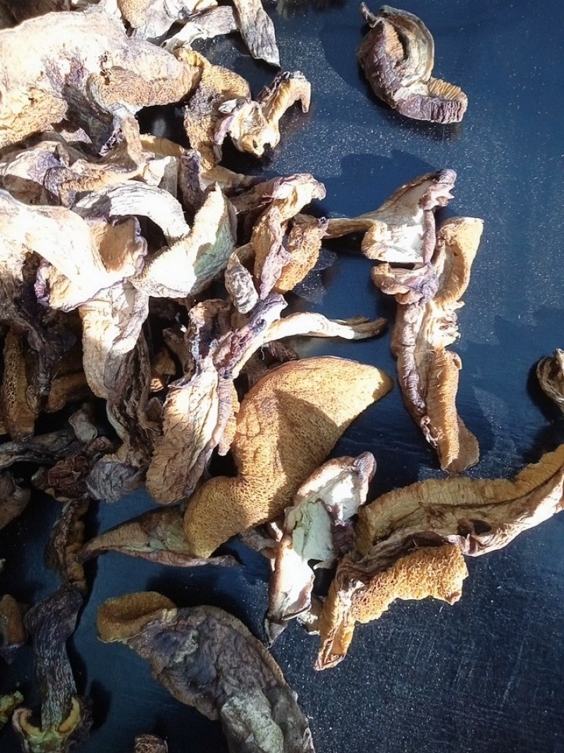 松蘑瓣，松蘑条，松蛾子，土信，粘团子，粘窝子，一手货源
